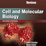 2019 Lippincott Illustrated Reviews: Cell and Molecular Biology (Lippincott Illustrated Reviews Series) Second, North American Edition لیپینکات زیست شناسی سلولی و ملکولی