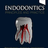 Endodontics: Principles and Practice 6th Edition 2021 اندودنتیکس ترابی نژاد