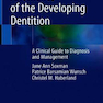 Anomalies of the Developing Dentition: A Clinical Guide to Diagnosis and Management 1st ed. 2019 Edition  ناهنجاری های دندانپزشکی در حال توسعه: یک راهنمای بالینی برای تشخیص و مدیریت