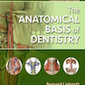 2018 The Anatomical Basis of Dentistry 4th Edition مبانی آناتومیک دندانپزشکی