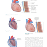 Invasive Cardiology: A Manual for Cath Lab Personnel 2023