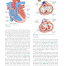 Invasive Cardiology: A Manual for Cath Lab Personnel 2023