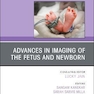 Advances in Neuroimaging of the Fetus and Newborn, An Issue of Clinics in Perinatology