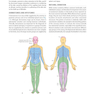 Gray’s Surface Anatomy and Ultrasound: A Foundation for Clinical Practice 2018