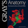 Gray’s Anatomy: The Anatomical Basis of Clinical Practice 41st Edition2015 آناتومی: مبانی تشریحی تمرین بالینی