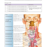 Netter’s Head and Neck Anatomy for Dentistry, 3rd Edition 2017