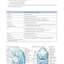 Netter’s Head and Neck Anatomy for Dentistry, 3rd Edition 2017