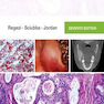 Oral Pathology: Clinical Pathologic Correlations 7th Edition2016 آسیب شناسی دهان و دندان