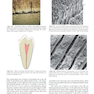 Sturdevant’s Art and Science of Operative Dentistry, 7th Edition2018 هنر و علم دندانپزشکی