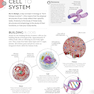 Science of Yoga: Understand the Anatomy and Physiology to Perfect Your Practice2019 علم یوگا: آناتومی و فیزیولوژی را درک کنید