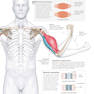 Science of Yoga: Understand the Anatomy and Physiology to Perfect Your Practice2019 علم یوگا: آناتومی و فیزیولوژی را درک کنید