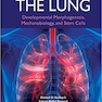 The Lung: Developmental Morphogenesis, Mechanobiology, and Stem Cells2019 ریه: مورفوژنز رشد ، مکانیوبیولوژی و سلولهای بنیادی