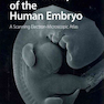 The Anatomy of the Human Embryo: A Scanning Electron-Microscopic Atlas2011 آناتومی رویان انسان: یک اطلس الکترونی میکروسکوپی روبشی