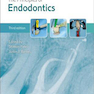 The Principles of Endodontics 3rd Edition2019   اصول اندودنتیکس