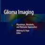 Glioma Imaging: Physiologic, Metabolic, and Molecular Approaches2019