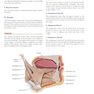 CURRENT Diagnosis - Treatment Otolaryngology-Head and Neck Surgery 4th Edition