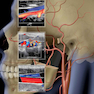 Diagnostic Ultrasound: Head and Neck 2nd Edition2019