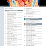 Diagnostic Ultrasound: Head and Neck 2nd Edition2019