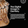 Clinical Photography in Dentistry 1st Edition 2019