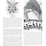 Renal Physiology: Mosby Physiology Series 6th Edition 2018