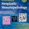Knowles Neoplastic Hematopathology 3rd Edition2013 آسیب شناسی نئوپلاستیک