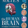 Nolte’s The Human Brain, 8th Edition2020 مغز انسان
