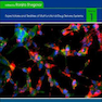 Nanopharmaceuticals: Volume 12020 داروهای نانو
