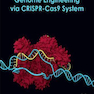 Genome Engineering via CRISPR-Cas9 System 2020  1st Edition مهندسی ژنوم