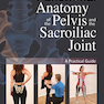 Functional Anatomy of the Pelvis and the Sacroiliac Joint 2017 آناتومی عملکردی لگن و مفصل ساکروایلیاک: یک راهنمای عملی