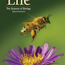 Life: The Science of Biology 12th Edition2020 زندگی: علم زیست شناسی