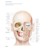 PRF in Facial EstheticsPRF