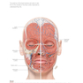PRF in Facial EstheticsPRF