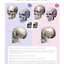 Form of the Head and Neck2021فرم سر و گردن