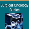 Palliative Care in Surgical Oncology, An Issue of Surgical Oncology Clinics of North America (Volume 30-3) (The Clinics: Surgery, Volume 30-3)