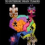 Comprehensive Overview of Modern Surgical Approaches to Intrinsic Brain Tumors2019مروری جامع بر رویکردهای جراحی مدرن در تومورهای مغزی ذاتی