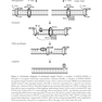 DNA Repair and Cancer : From Bench to Clinic2013