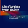 Atlas of Lymphatic System in Cancer : Sentinel Lymph Node, Lymphangiogenesis and Neolymphogenesis