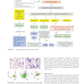 Atlas of Differential Diagnosis in Neoplastic Hematopathology2021