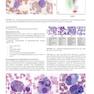 Atlas of Differential Diagnosis in Neoplastic Hematopathology2021