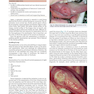 Master Dentistry Volume 1_2 : Restorative Dentistry, Paediatric Dentistry and Orthodontics2021