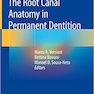 The Root Canal Anatomy in Permanent Dentition