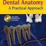 Textbook of Dental Anatomy