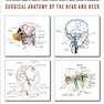 Surgical Anatomy of the Head and Neck