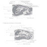 Workbook for Textbook of Diagnostic Sonography 8th Edicion