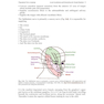 Local Anesthesia and Extractions for Dental Students : Simple Notes and Guidelines 2018