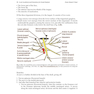 Local Anesthesia and Extractions for Dental Students : Simple Notes and Guidelines 2018