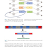 Nutrition Management of Inherited Metabolic Diseases : Lessons from Metabolic University