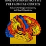 Understanding the Prefrontal Cortex : Selective advantage, connectivity, and neural operations