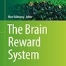 The Brain Reward System