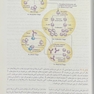 پرستاری داخلی و جراحی برونر و سودارث 2022 ایمونولوژی جلد 7